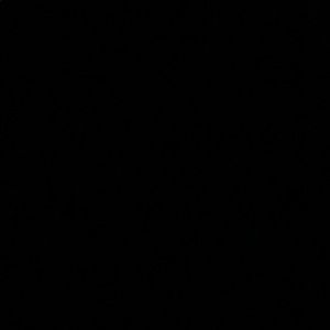 Meet your Posher, Aashley